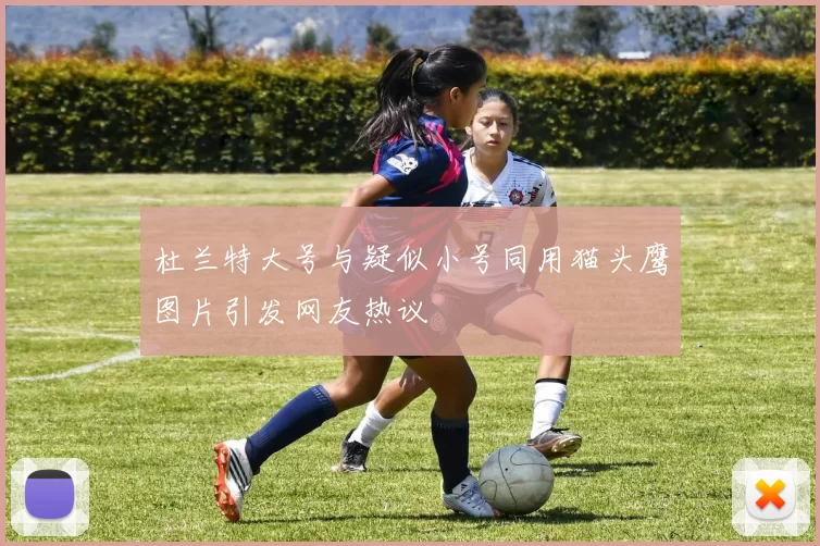 杜兰特大号与疑似小号同用猫头鹰图片引发网友热议