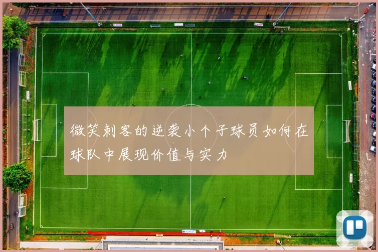 微笑刺客的逆袭小个子球员如何在球队中展现价值与实力